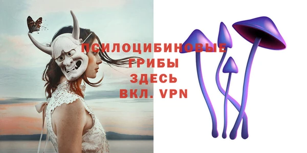 стаф Алексеевка