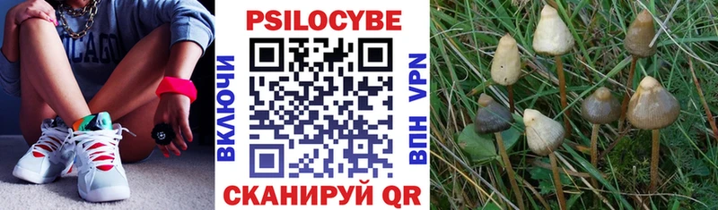 закладки  Артёмовский  это наркотические препараты  Галлюциногенные грибы ЛСД 